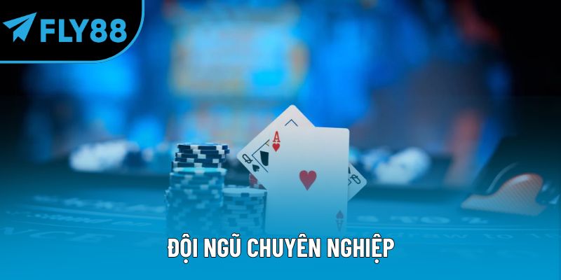 Đội ngũ chuyên nghiệp