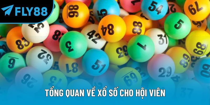 Tổng quan về xổ số cho hội viên