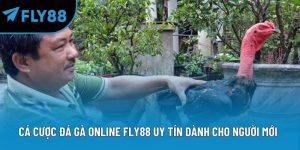 cá cược đá gà online