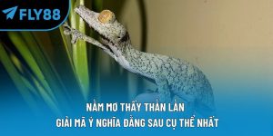 nằm mơ thấy thằn lằn