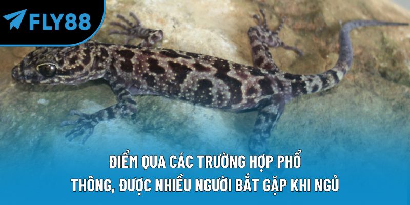 Điểm qua các trường hợp phổ thông, được nhiều người bắt gặp khi ngủ